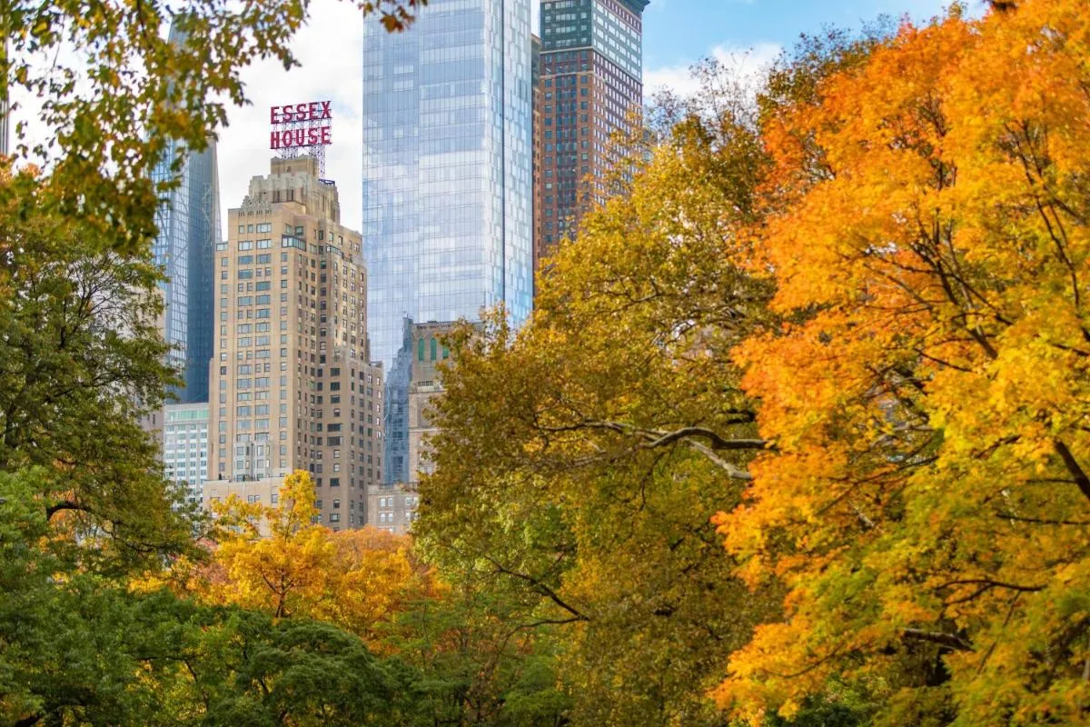 JW Marriott Essex House New York — 4