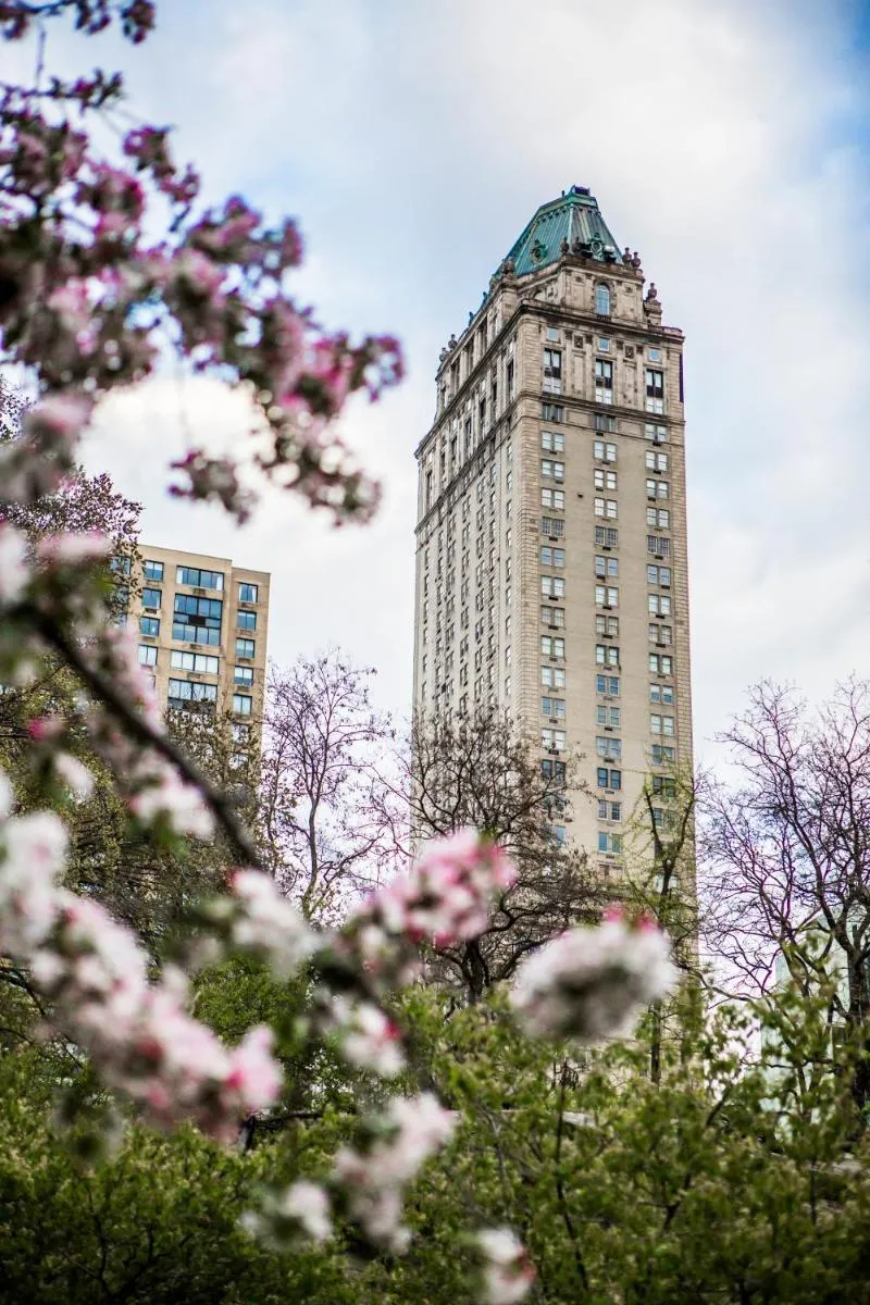 The Pierre, A Taj Hotel, New York — 4