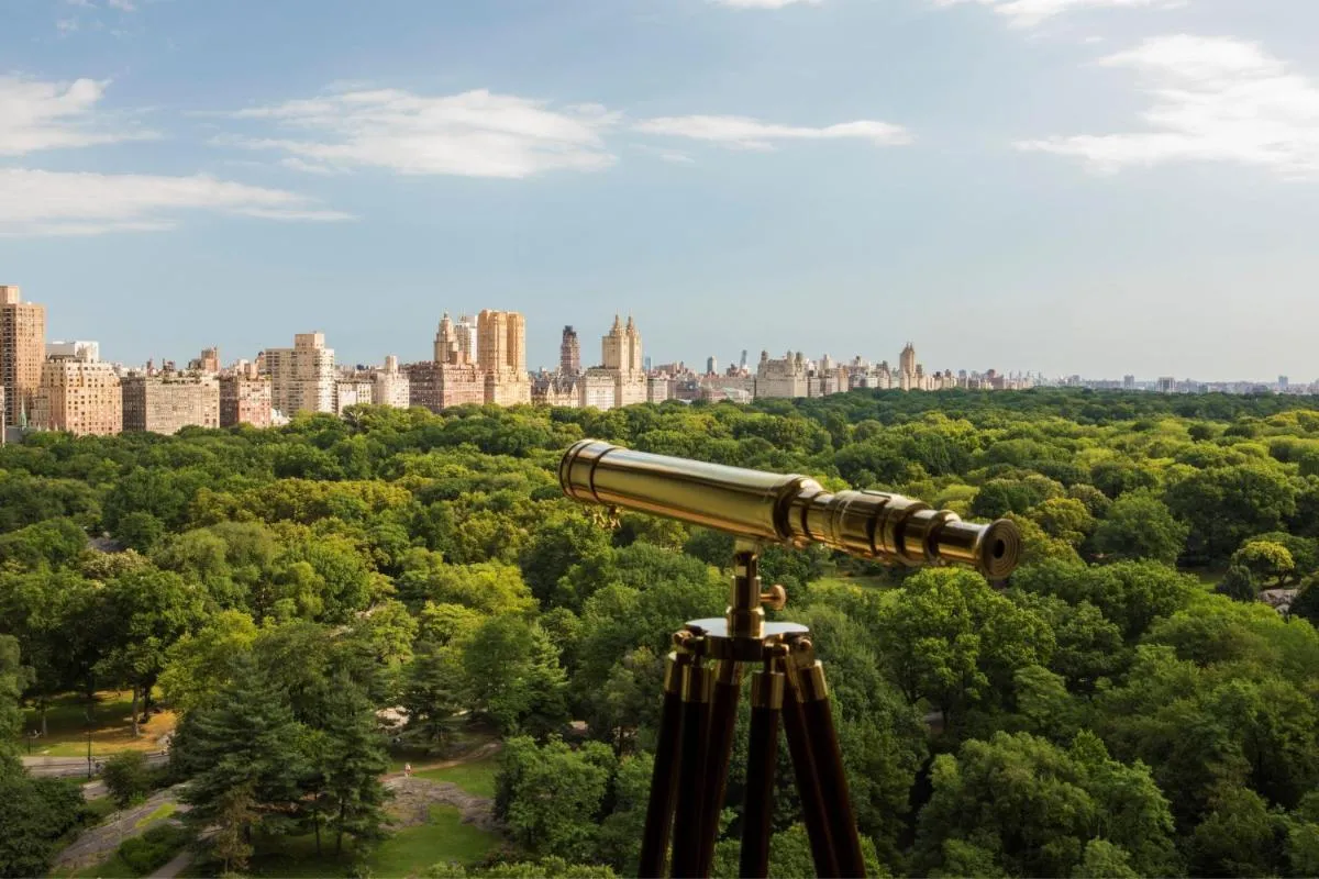 The Ritz-Carlton New York, Central Park — 5