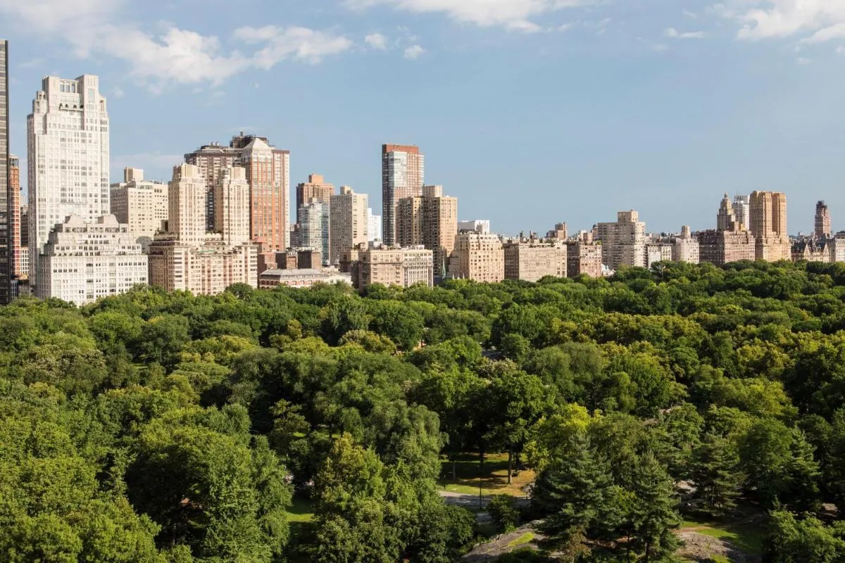 The Ritz-Carlton New York, Central Park — 7