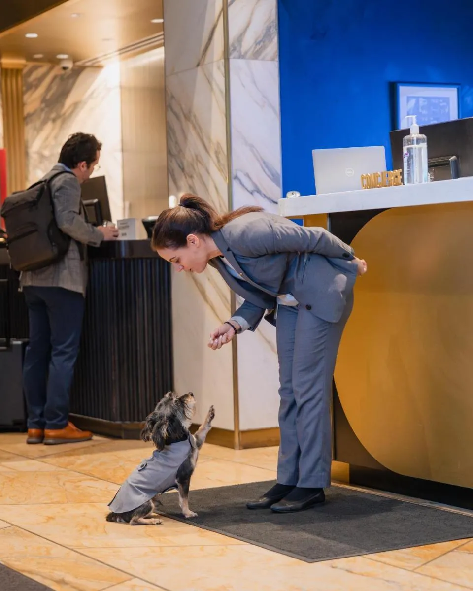 Le Meridien New York, Central Park — 7